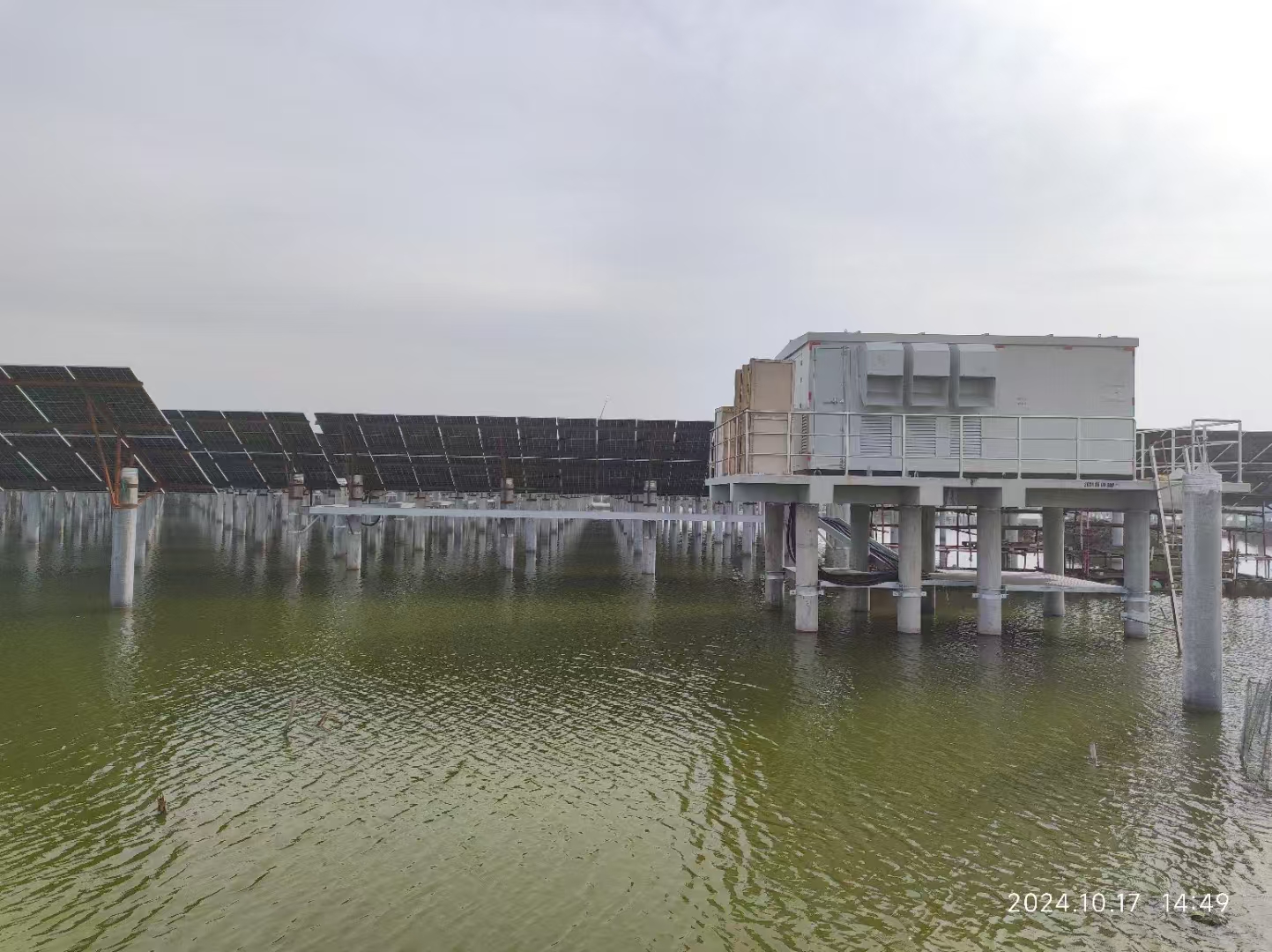 1733713732844652.jpg 12c5a8981386f7965d1eaade8532398.jpg